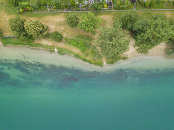 Scenic view of river amidst trees