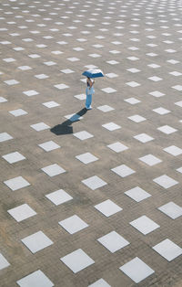 High angle view of bird on footpath