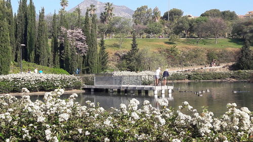 Scenic view of lake against trees