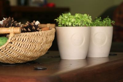 Close-up of vegetables on table