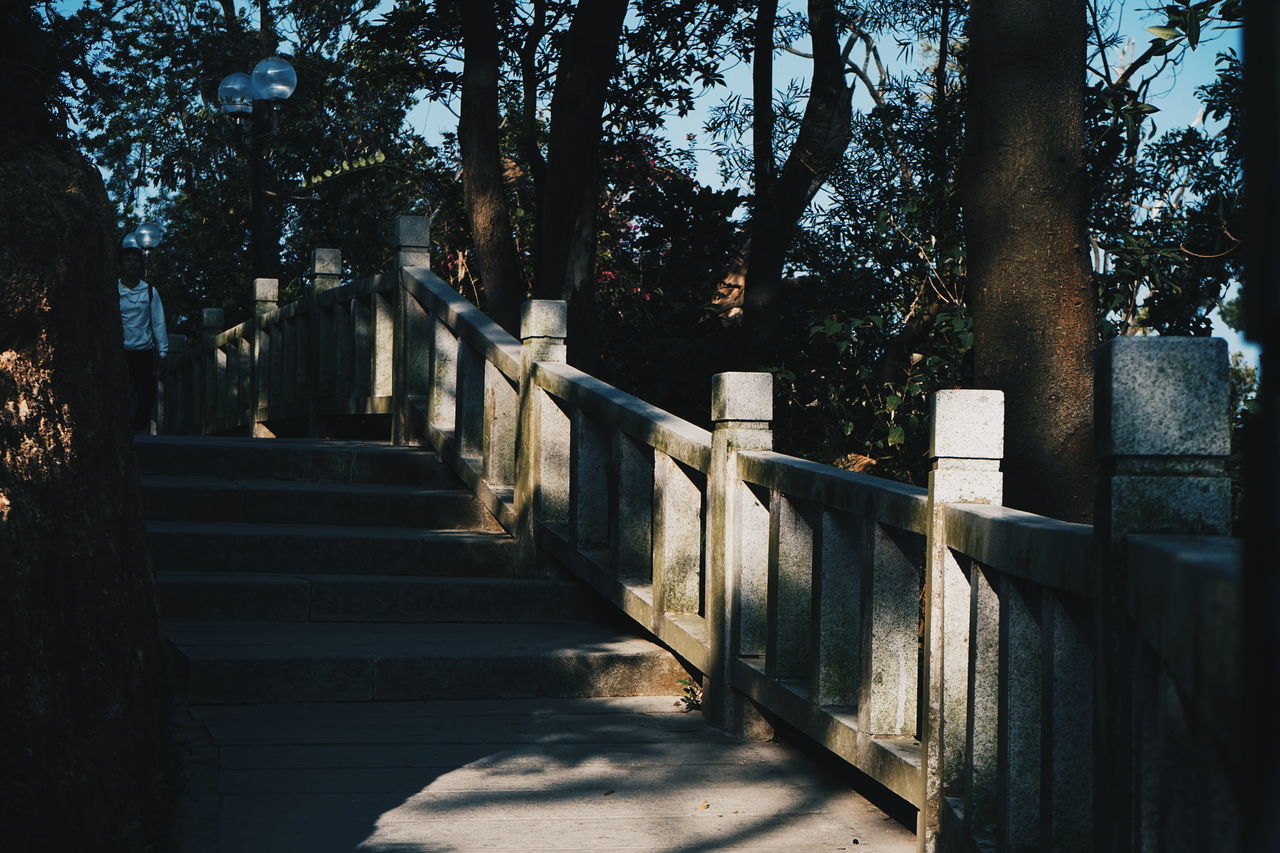 tree, plant, no people, the way forward, direction, nature, architecture, day, grave, cemetery, built structure, railing, staircase, outdoors, sunlight, footpath, in a row, tombstone, shadow