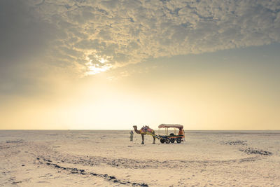 Scenic view of indian desert against sky during sunset