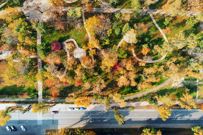 Aerial view of road during autumn