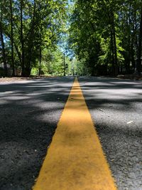 Surface level of road along trees