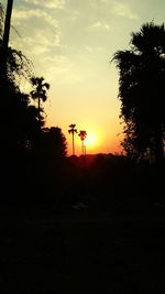 Silhouette trees against sky during sunset