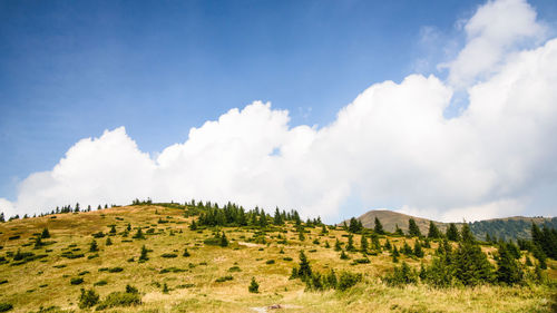 Panoramic view of landscape against sky