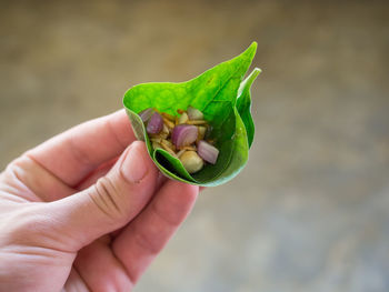 Close-up of hand holding leaf