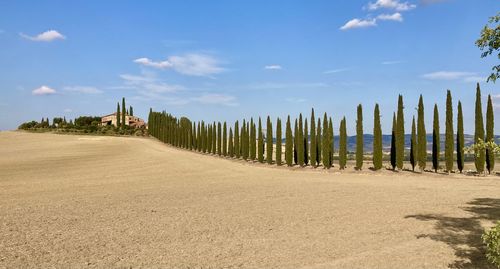 Panoramic shot of land against sky