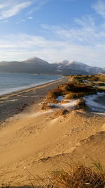 Scenic view of beach against sky