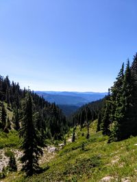 Scenic view of mountains against clear blue sky