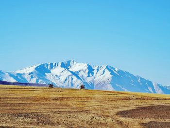 Scenic view of snowcapped mountains against clear blue sky