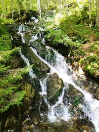 Scenic view of waterfall in forest