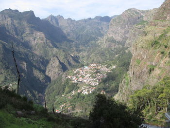 High angle view of trees in mountains