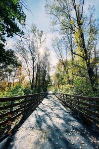 Footpath amidst trees against sky