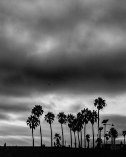 Silhouette palm trees on beach against sky