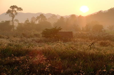 Scenic view of landscape against sky during sunset