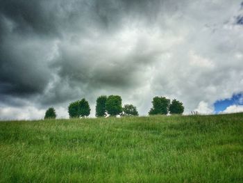 Scenic view of grassy field against cloudy sky