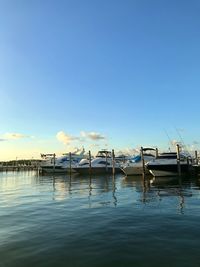 Sailboats moored in marina against blue sky