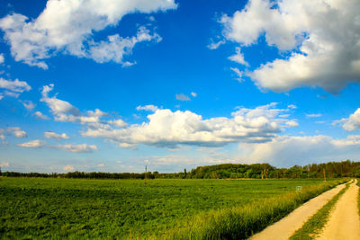 Scenic view of agricultural field against sky