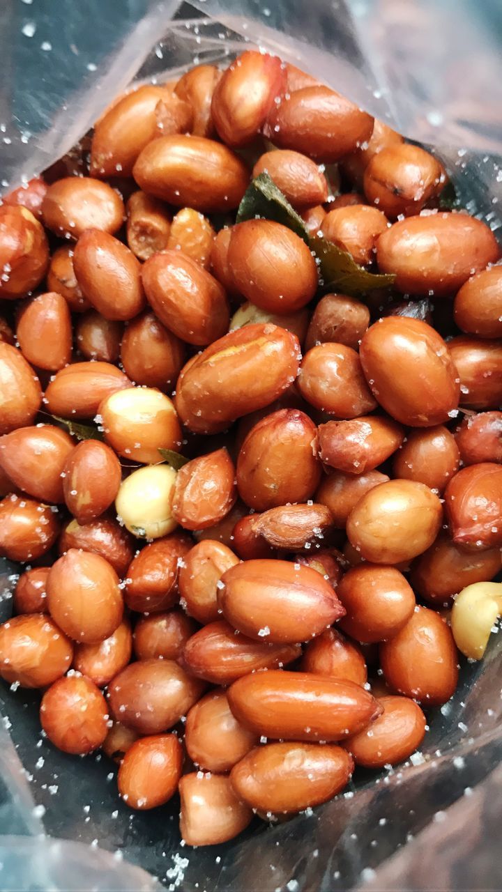 CLOSE-UP OF FRESH TOMATOES IN WATER