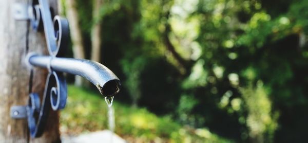 Close-up of water drop falling from pipe