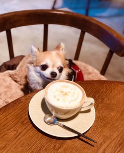 Dog and coffee cup on table