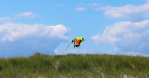 Low angle view of kite in field against sky