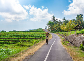 Rear view of man riding motorcycle on road