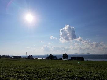 Scenic view of field against sky during sunset