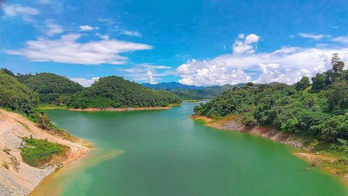 Panoramic view of river amidst trees against sky