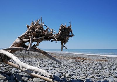 Driftwood on beach against clear sky