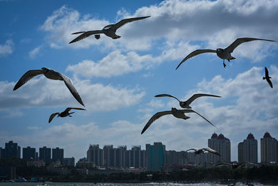 flying