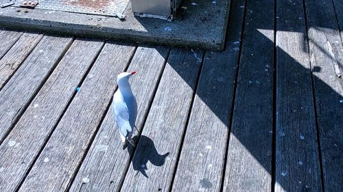 High angle view of pier on wet footpath