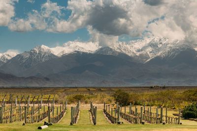 Scenic view of field and mountains against sky