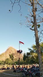 People by plants against clear blue sky