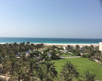 High angle view of palm trees on beach