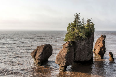 Rocks on sea shore against sky