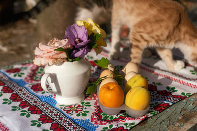 Close-up of cat on table