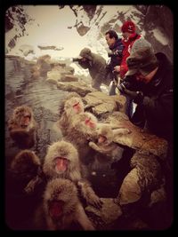 auto post production filter