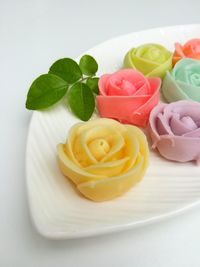 High angle view of multi colored roses in plate