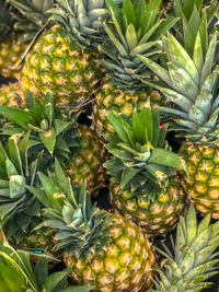 Close-up of pineapple