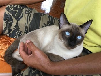 Close-up of man holding cat