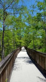 Footbridge amidst trees in forest