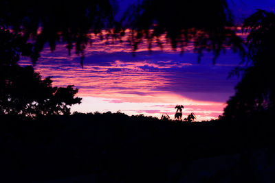 Silhouette man by trees against sky during sunset