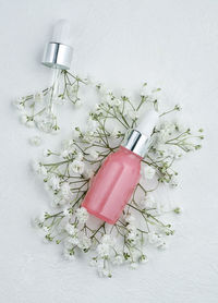 Close-up of pink flower on table against white background