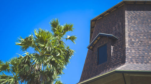 Low angle view of palm tree against building