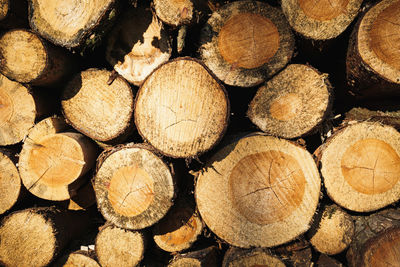 Full frame shot of logs in forest