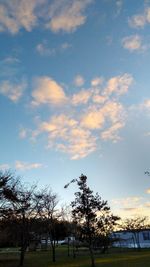 Silhouette trees against sky during sunset