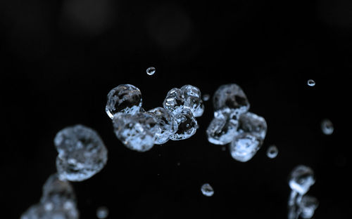 Close-up of water drops on leaf