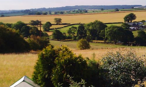 Scenic view of agricultural field against sky
